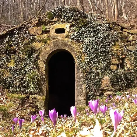 La Casa Di Lili * Pontassieve