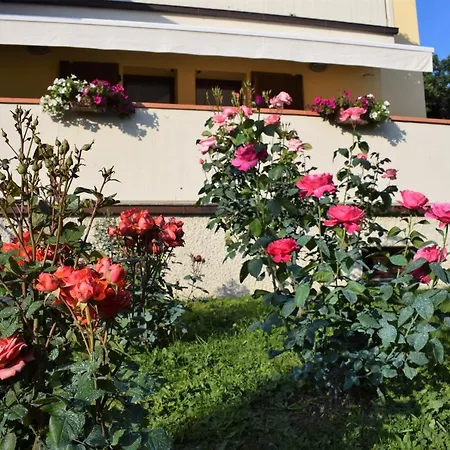 La Casa Di Lili *