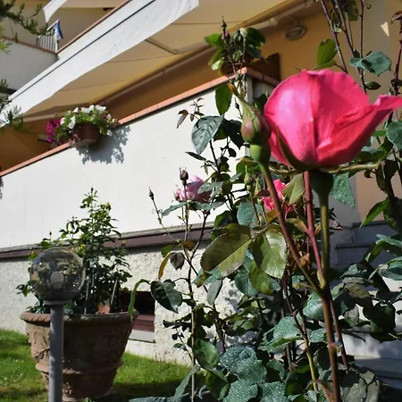 Apartmán La Casa Di Lili Pontassieve